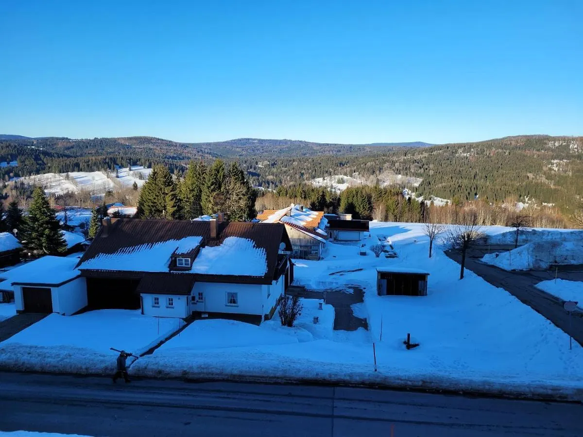 Mitterdorf - Apartman Almberg Mitterfirmiansreut