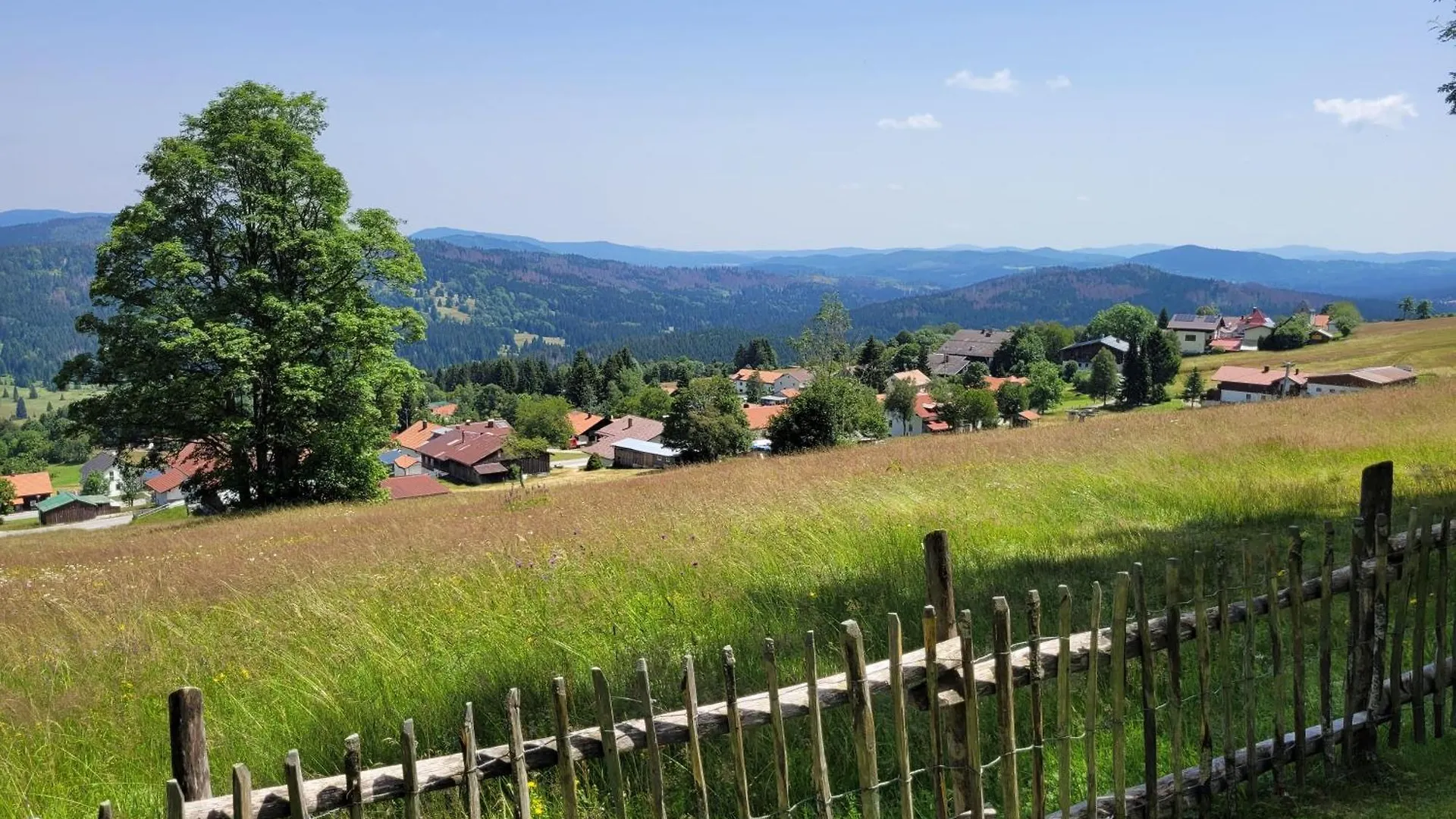 Mitterdorf - Apartman Almberg Mitterfirmiansreut 0*,  Germany