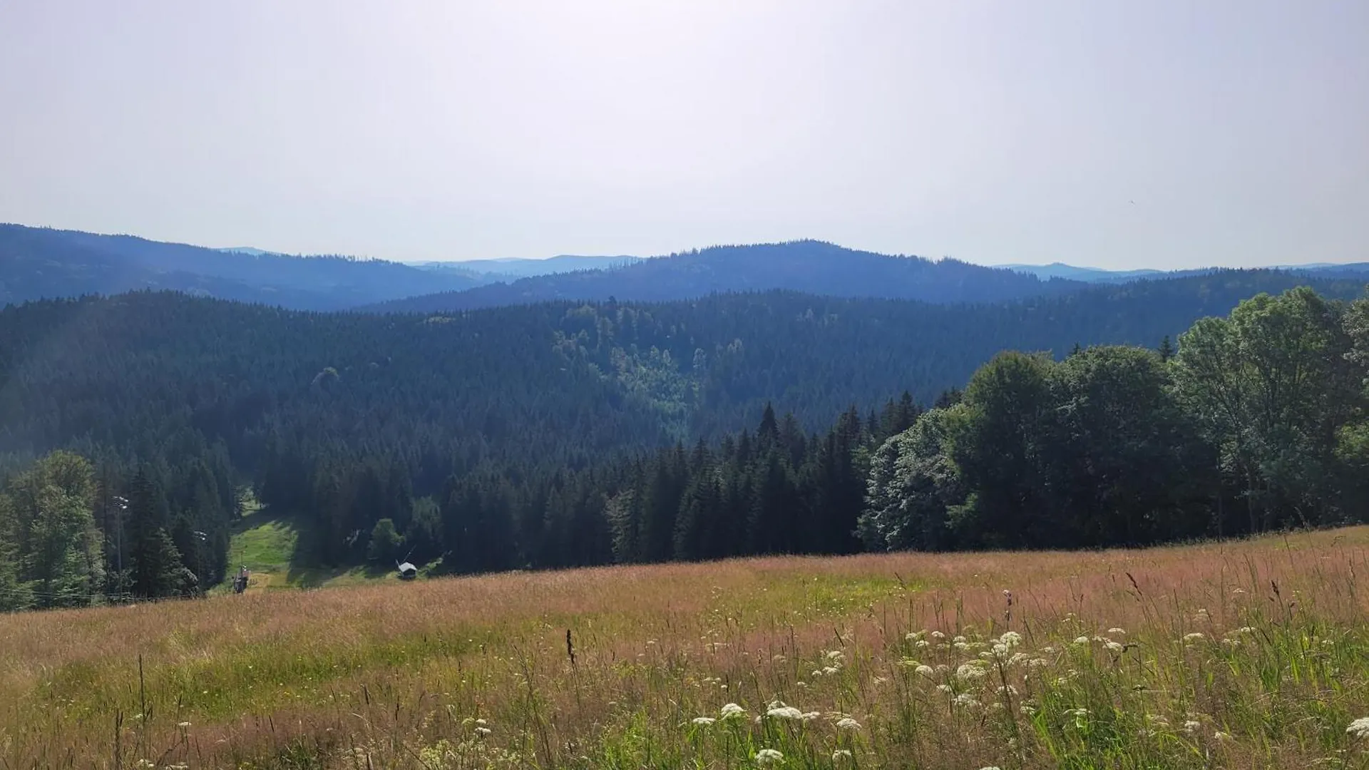 Mitterdorf - Apartman Almberg Mitterfirmiansreut 0*,